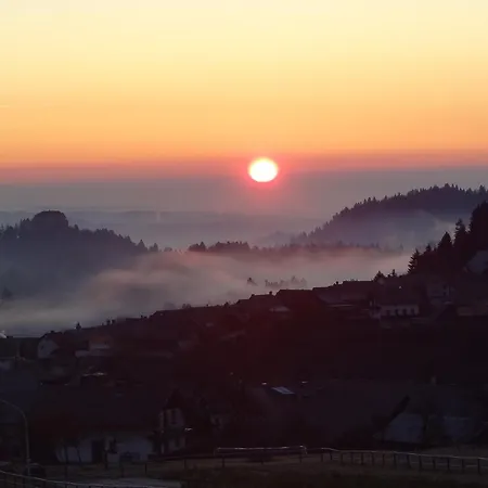 アパート And With View On Bled *