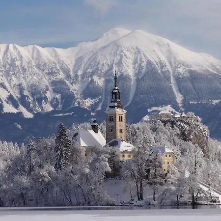 And With View On Bled