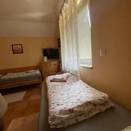 アパート And With View On Bled *