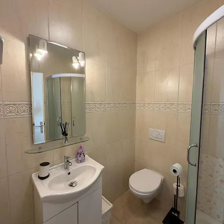 アパート And With View On Bled