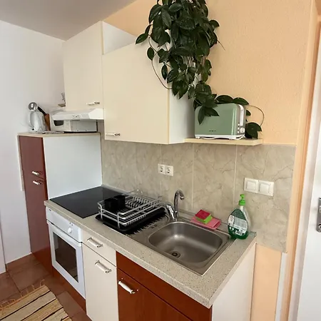 And With View On Bled アパート *