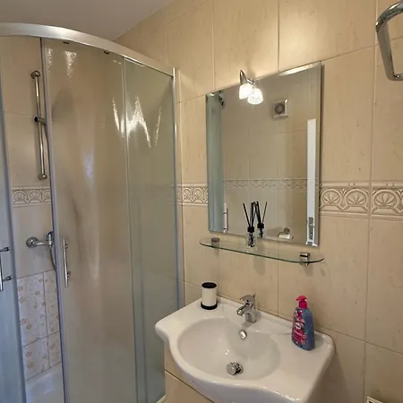 Apartment And With View On Bled Zgornje Gorje