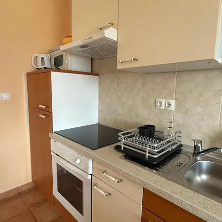 Apartment And With View On Bled Zgornje Gorje