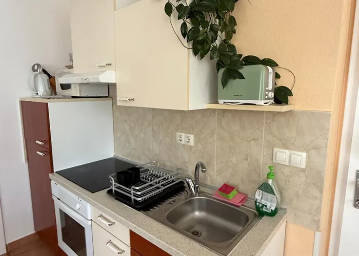 布莱德景致公寓 公寓 *